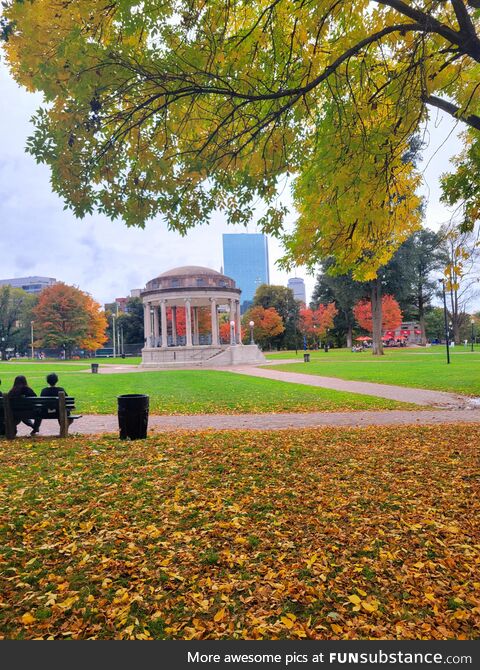 Autumn in Boston, Massachusetts. The best time of the year here