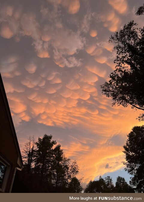 First time seeing Mammatus clouds in person and the sunset brought the show! [OC]