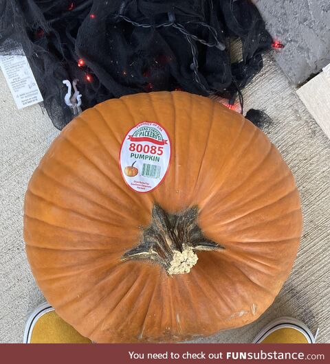 Boobs pumpkin