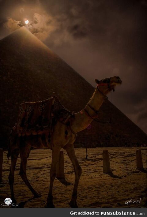 The Eclipse above the great pyramid of Giza