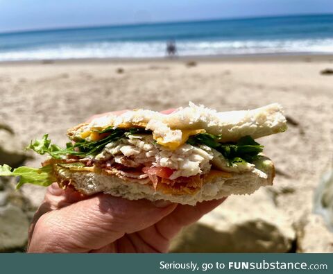 The sandwich I ate. The sand which I didn't eat