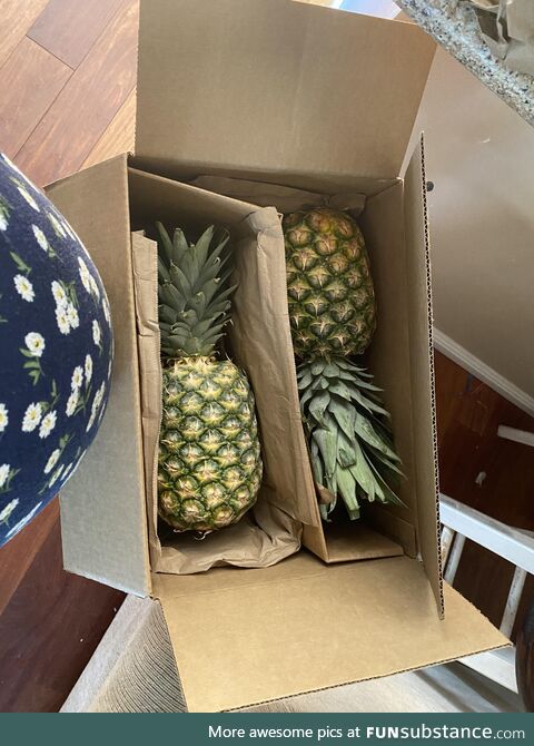 [OC] my grandma sends me fruit ever since finding out about my pregnancy. This week