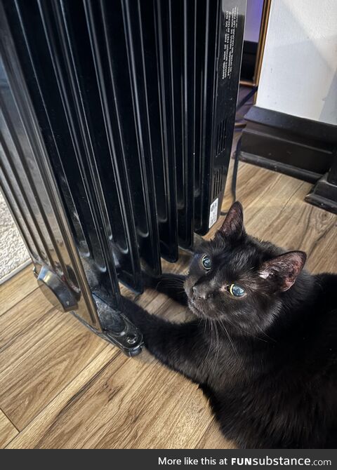 Buddy loves to put his arms under the portable heater