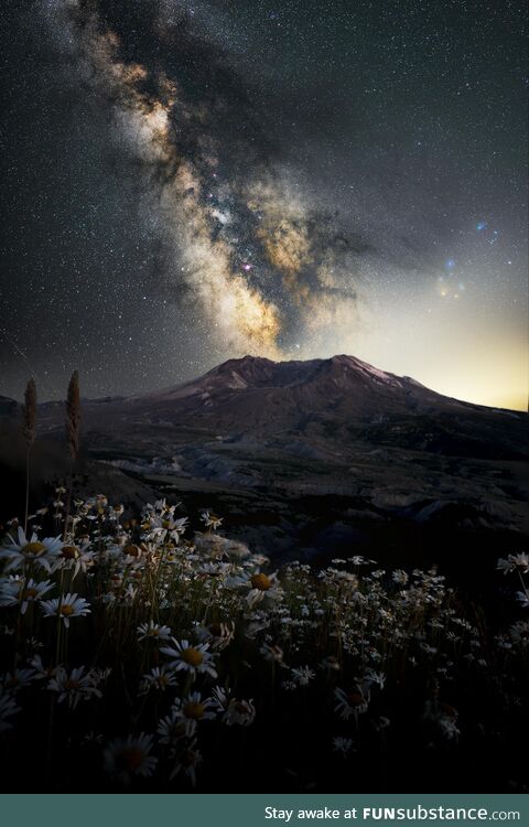 Wildflowers, a volcano, and the Milky Way. [OC]