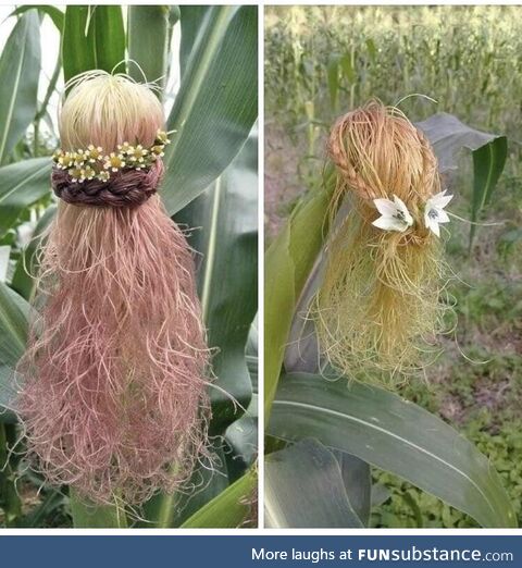 Fancy corn hair