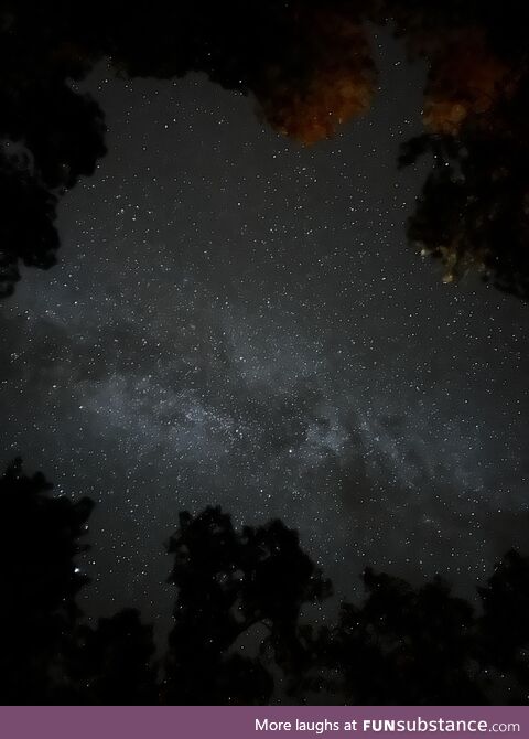 Picture I took at Gila National Park, the night of the eclipse