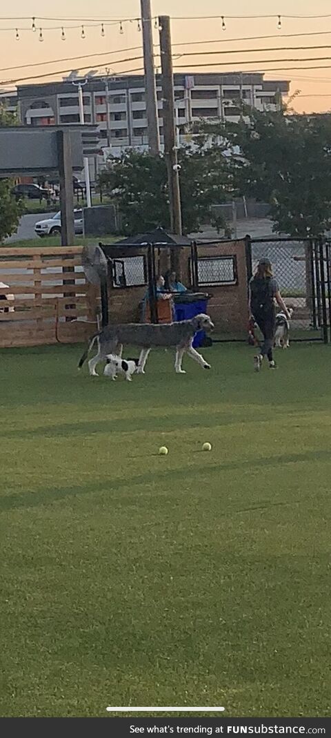 I took a Panorama at a dog park I work at and caught this