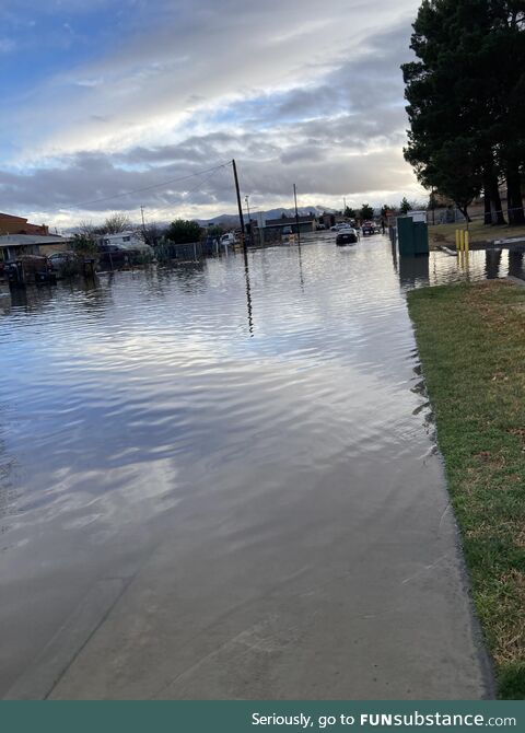 My street today