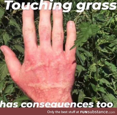 "Touch grass" they said