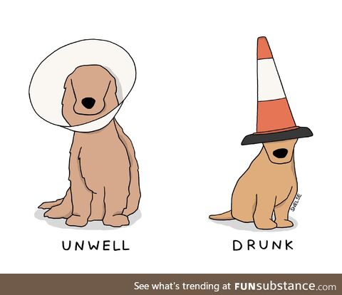 [OC] There are 2 types of dog cones