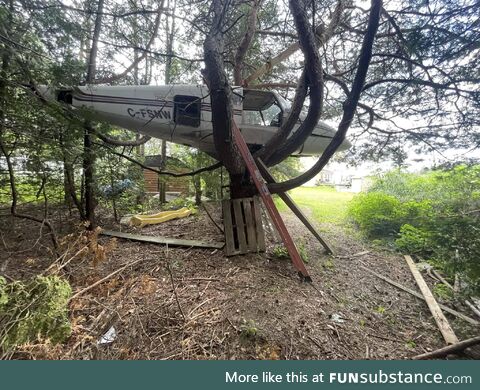 Found this plane online for 100 bucks and I stuck it in the tree for a treehouse. Updated