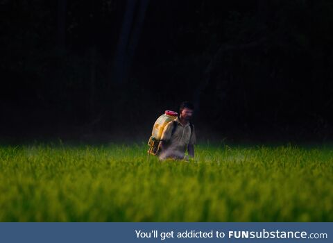 Man working in a paddy field at the countryside of Tamil Nadu. India