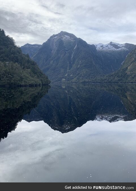Taking in the scenery on Doubtful Sound, NZ [OC]