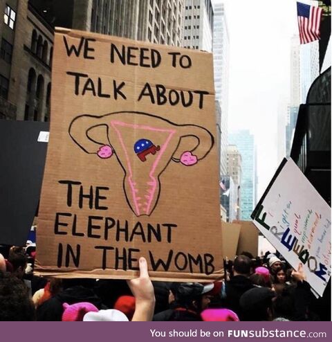 Sign held during Women’s March protest, NYC, 2017