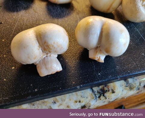 I'm Cookin' With Buttshrooms!