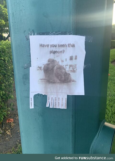 Sign on a lamp post I saw