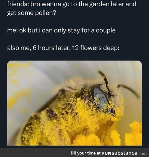 It do bee like that