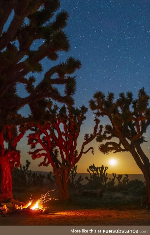 Moonset in the Mojave!