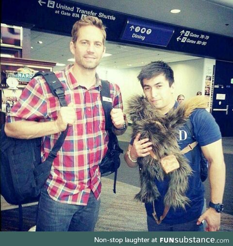 Met Paul Walker at the airport once. Real nice and cool guy