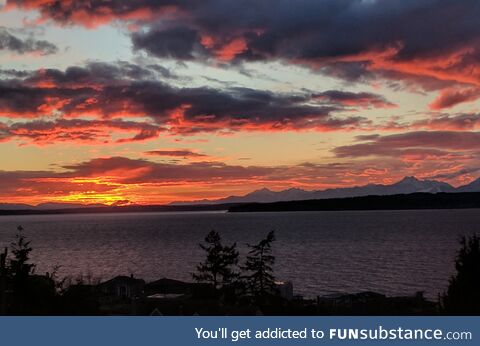 (OC) Sundown in Shoreline, Washington