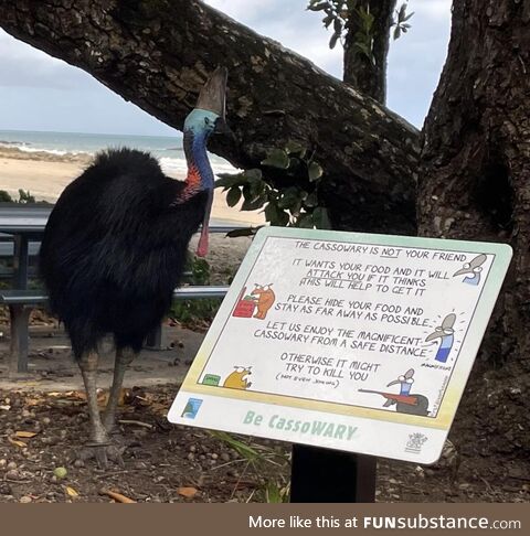 Only in Far North Queensland