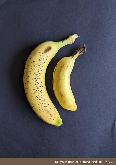 My Banana vs the banana she likes and tells me not to worry about