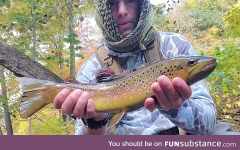 The colors on this brown trout are exquisite
