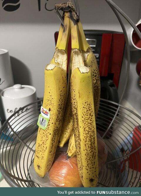 All of my bananas committed neck rope