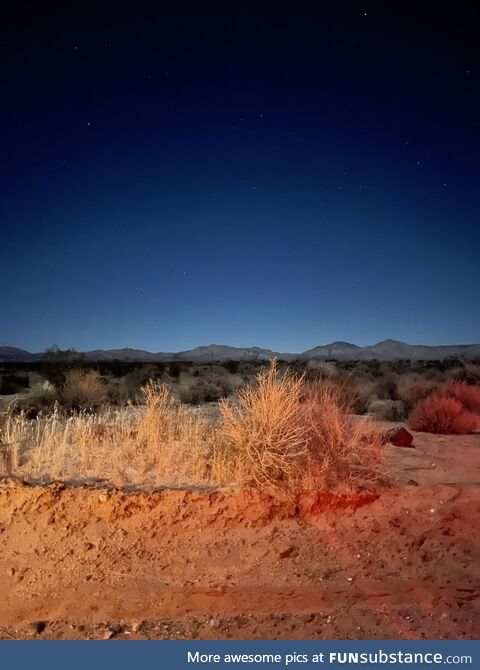 Stars over the Mojave Desert