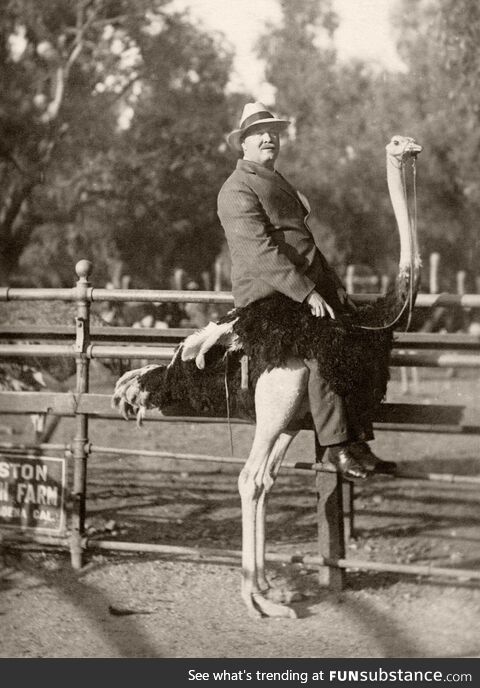 My great-grandfather at the Cawston Ostrich Farm in South Pasadena, California, ca 1920