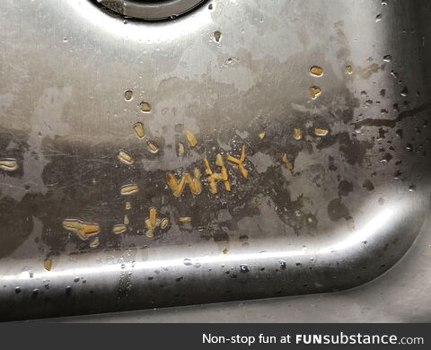 My partner left potato chip crumbs in the sink last night so I sent him this