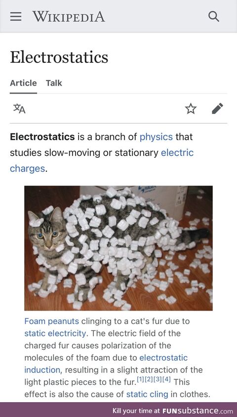 This is the official Wikipedia page for “Electrostatics”