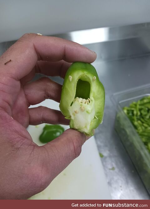 I was cutting a green pepper at work..I think he wants to eat me