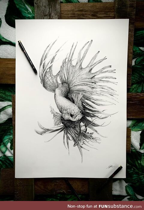 Fighter fish stippling art, zoom in