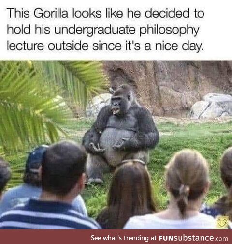 It's "Dr Gorilla" to you