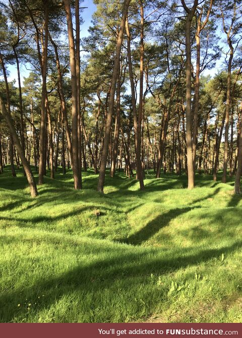 Scarred earth, Vimy Ridge