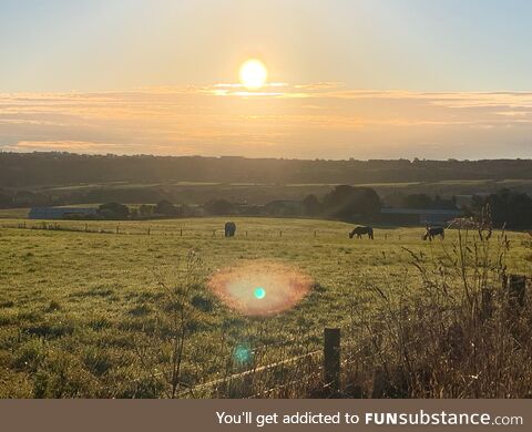 Took this on my way to work this morning. England is beautiful