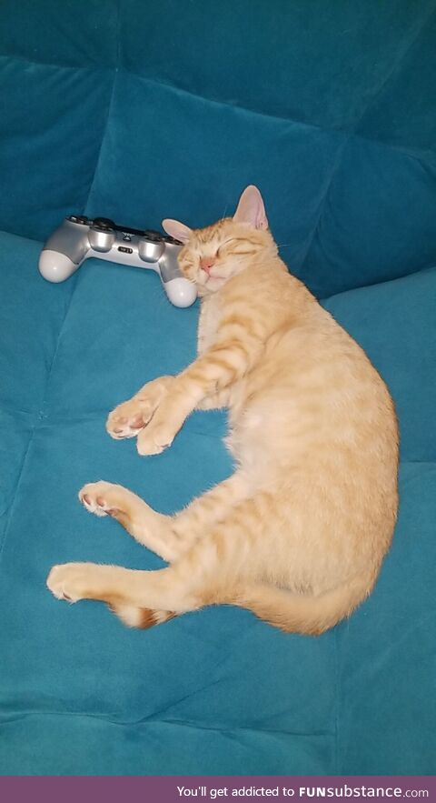 I'm trying to play some games. Should I wake him up? Lol