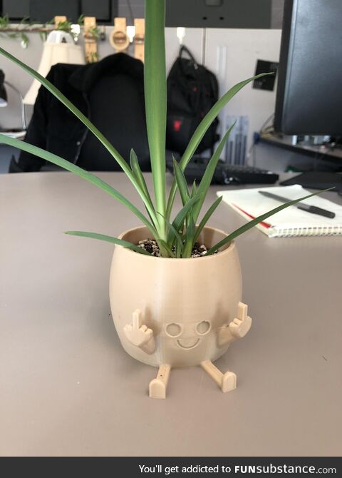 My new cubicle greeter