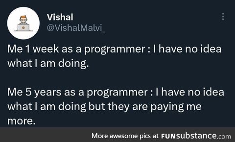 5 years as a programmer