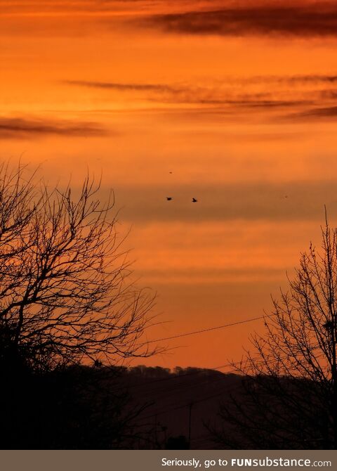 The sun rising over the hill this morning