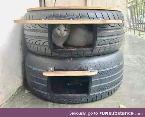 Winter shelter for stray cats