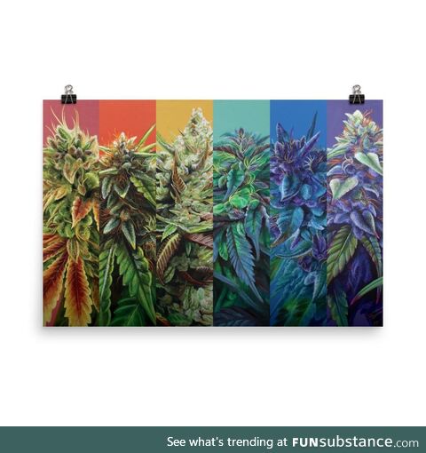 [oc] I’ve had a rainbow cannabis poster living in my head rent free for 7+ months,