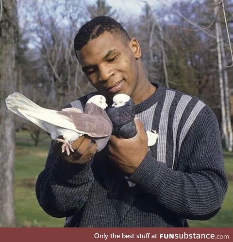 Mike Tyson with his pigeons in 1985