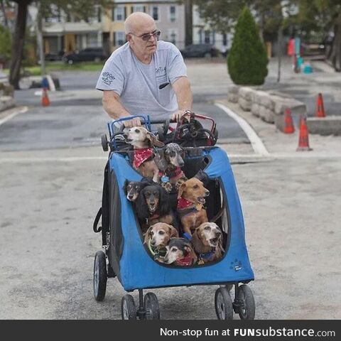 This man has rescued and adopted dogs, who have lost the abbility to use their back legs