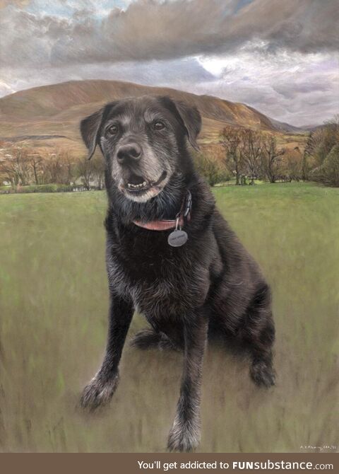 Here's a pastel drawing of Sally, the labrador. Hope you like it! (OC)