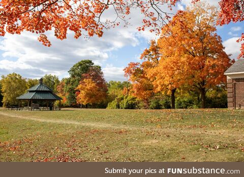 Picture I took at a park during Autumn