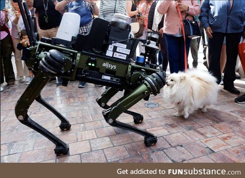 Robodogo and dogo meet