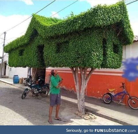 Very cool topiary
