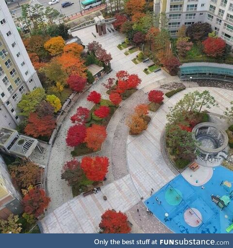 Autumn view in the apartment complex